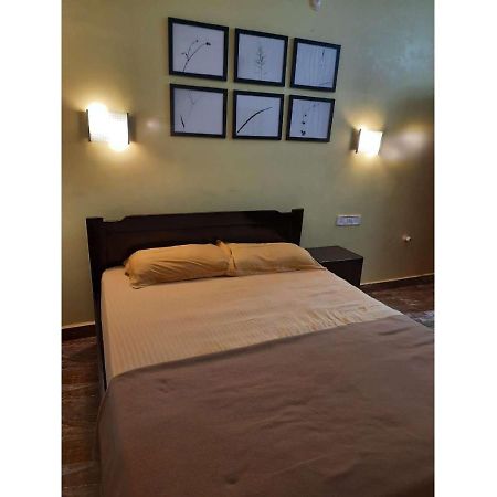 באג'ה Beach Vibes Guest House מראה חיצוני תמונה